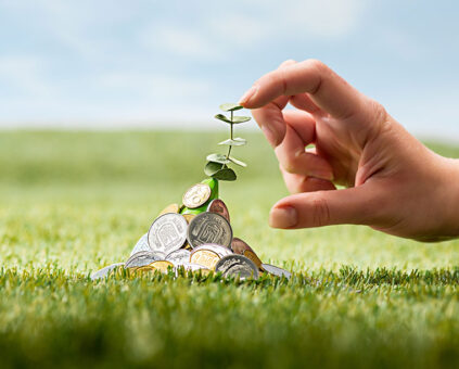 Hand touching small plantlet growing from pile of coins on grass
