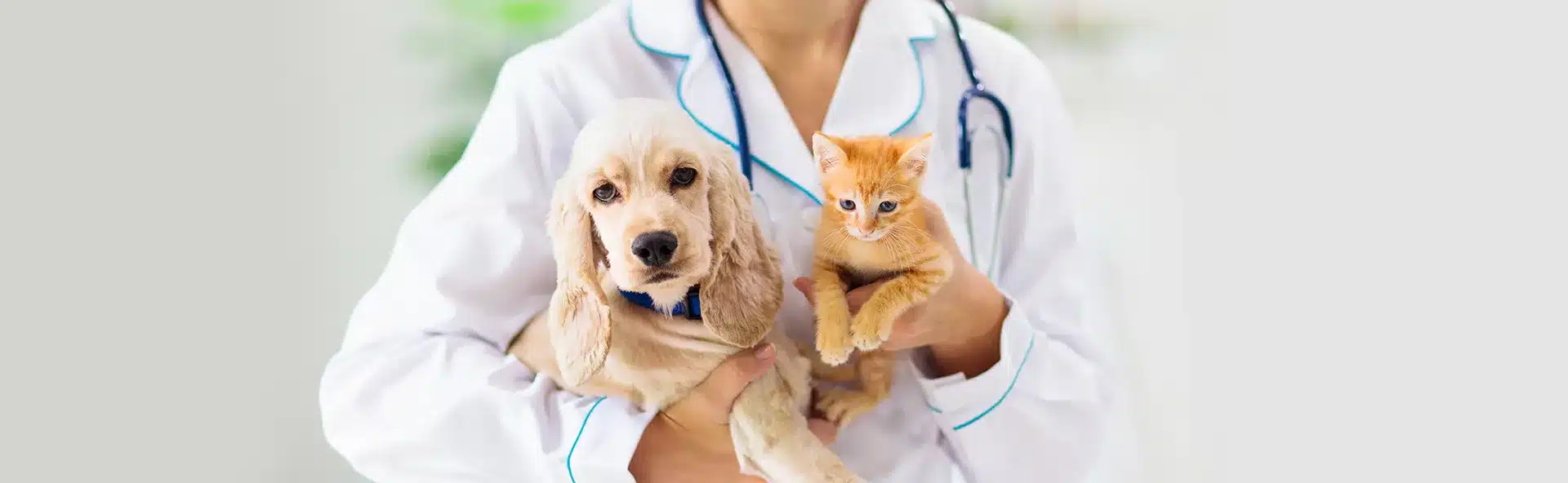 Veterinarians 