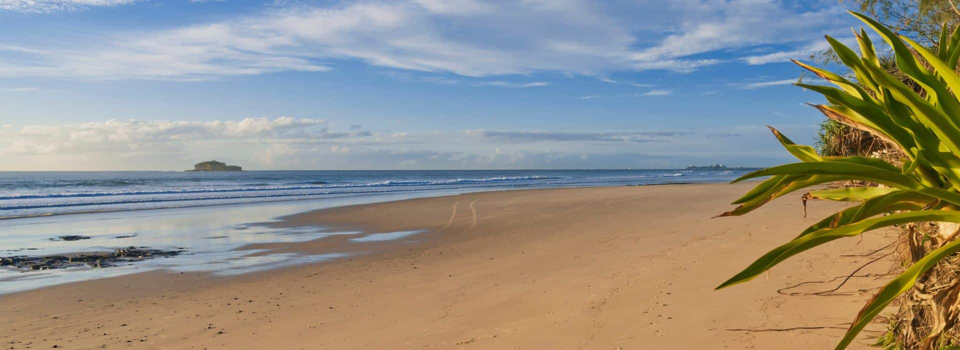 A wide sandy beach stretching into the distance under a partly cloudy blue sky. Gentle waves roll onto the shore, creating white foam and leaving wet sand that reflects the sky. In the foreground on the right, green pandanus or similar coastal plants with long spiky leaves frame the scene. A small rocky island is visible on the horizon to the left. The beach appears deserted except for what looks like a distant figure walking along the shoreline. Vehicle tire tracks are visible in the sand, curving along the beach.