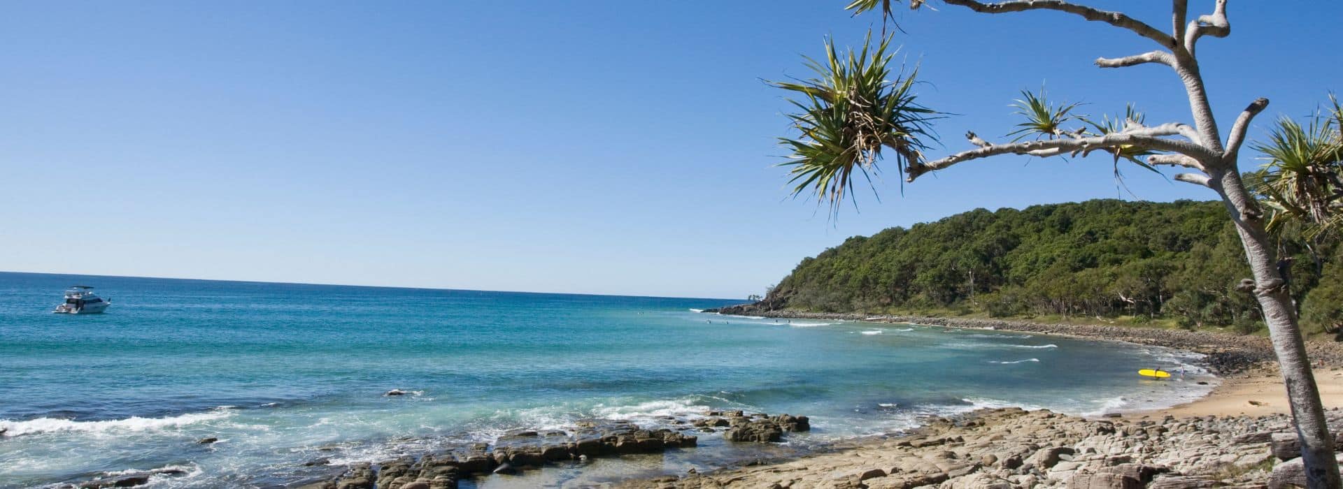 A tropical coastal scene with crystal-clear turquoise water under a bright blue sky. In the foreground, a distinctive pandanus tree with spiky green leaves and a twisted white trunk leans over a sandy beach scattered with rocks and coral. The coastline curves around a forested headland covered in dense green vegetation. A small boat is anchored in the calm waters offshore. Gentle waves lap against the rocky shoreline, and what appears to be a yellow kayak is visible on the beach. The water is so clear that the sandy bottom and rocks beneath are visible through the surface.