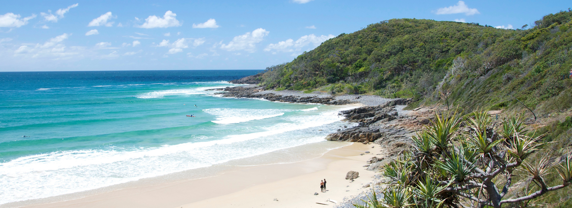  A panoramic view of a sandy Noosa beach curving around a lush, green headland, with turquoise waves rolling onto the shore and a clear blue sky overhead.